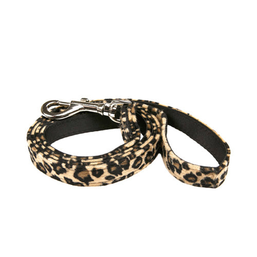 Set collar y correa para perro Animal Print Urban Pup