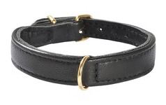 Bobby Evasion Collar