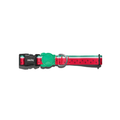 Zeedog LOLA Dog Collar