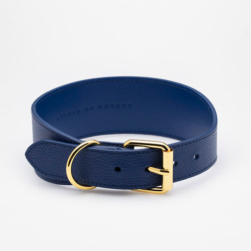 Collar de Cuero para perros Collar of Sweden