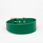 Collar de Cuero para perros Collar of Sweden