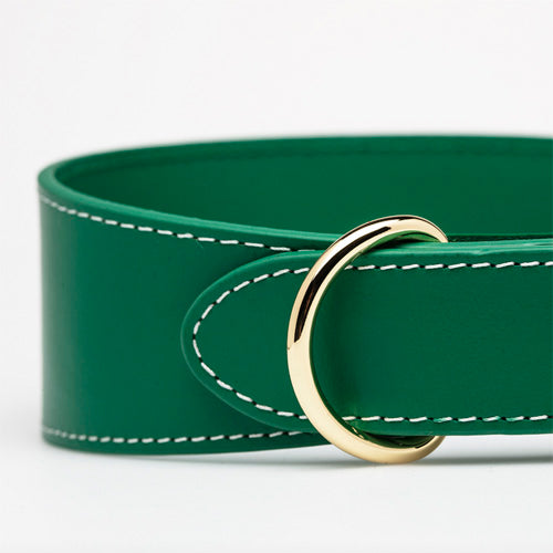 Collar de Cuero para perros Collar of Sweden