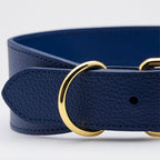 Collar de Cuero para perros Collar of Sweden