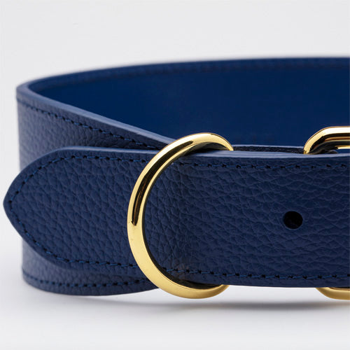 Collar de Cuero para perros Collar of Sweden