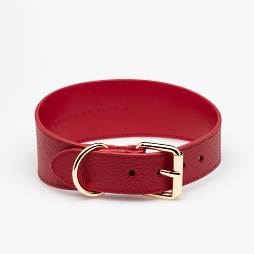 Collar de Cuero para perros Collar of Sweden