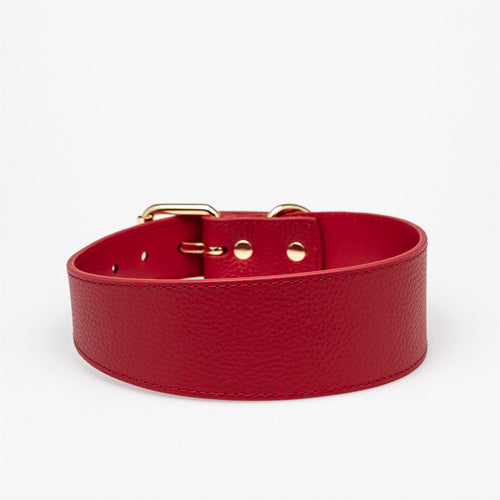 Collar de Cuero para perros Collar of Sweden