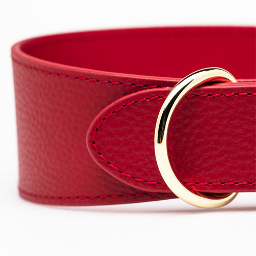 Collar de Cuero para perros Collar of Sweden