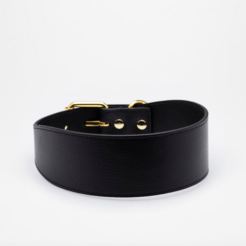 Collar de Cuero para perros Collar of Sweden
