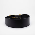 Collar de Cuero para perros Collar of Sweden