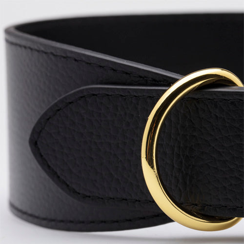 Collar de Cuero para perros Collar of Sweden
