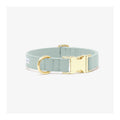 Collar para Perro The Scot