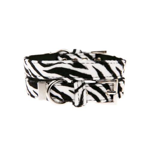 Urban Pup Zebra Dog Collar