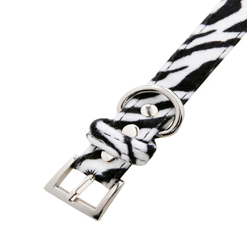 Urban Pup Zebra Dog Collar
