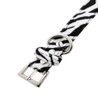 Urban Pup Zebra Dog Collar