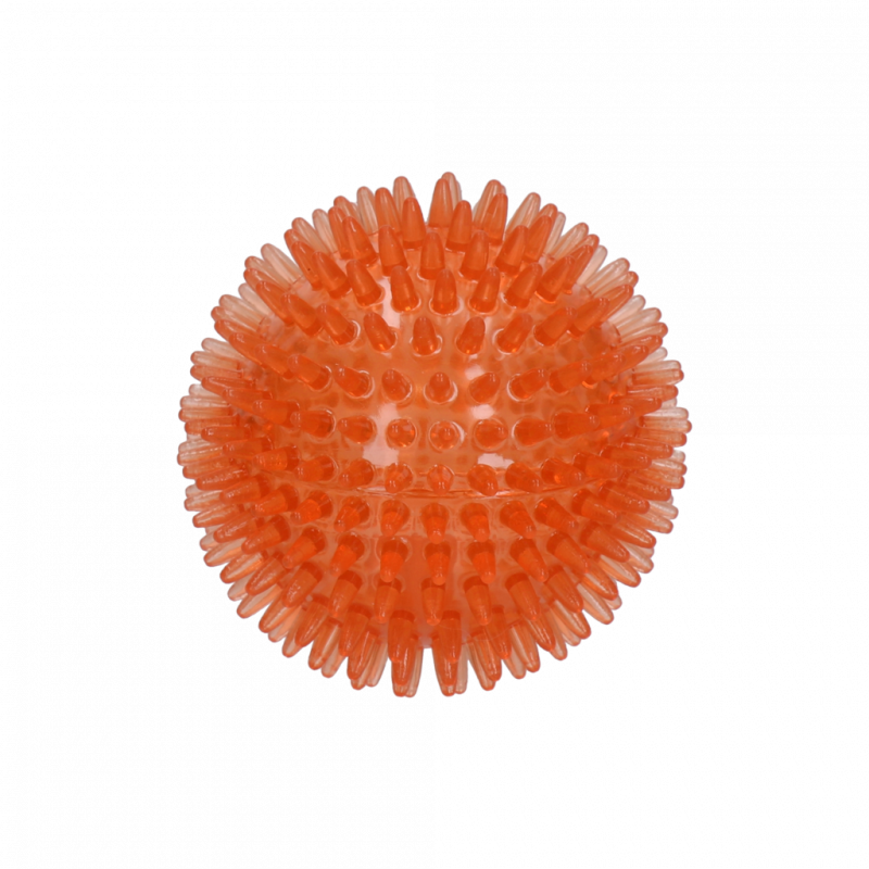 Dog Comets Pelota Exoplanet Naranja