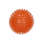 Dog Comets Pelota Exoplanet Naranja