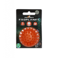 Dog Comets Pelota Exoplanet Naranja