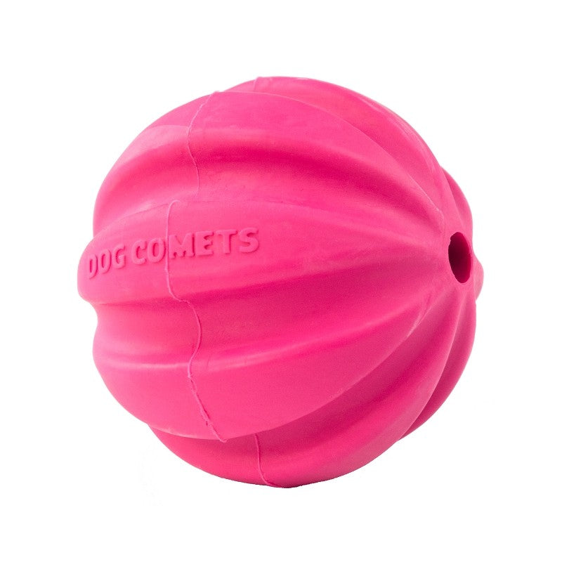 Dog comets swift tuttle