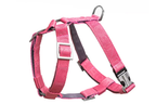 Light red Bloom harness bowl and bone