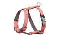 Light red Bloom harness bowl and bone