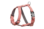 Light red Bloom harness bowl and bone