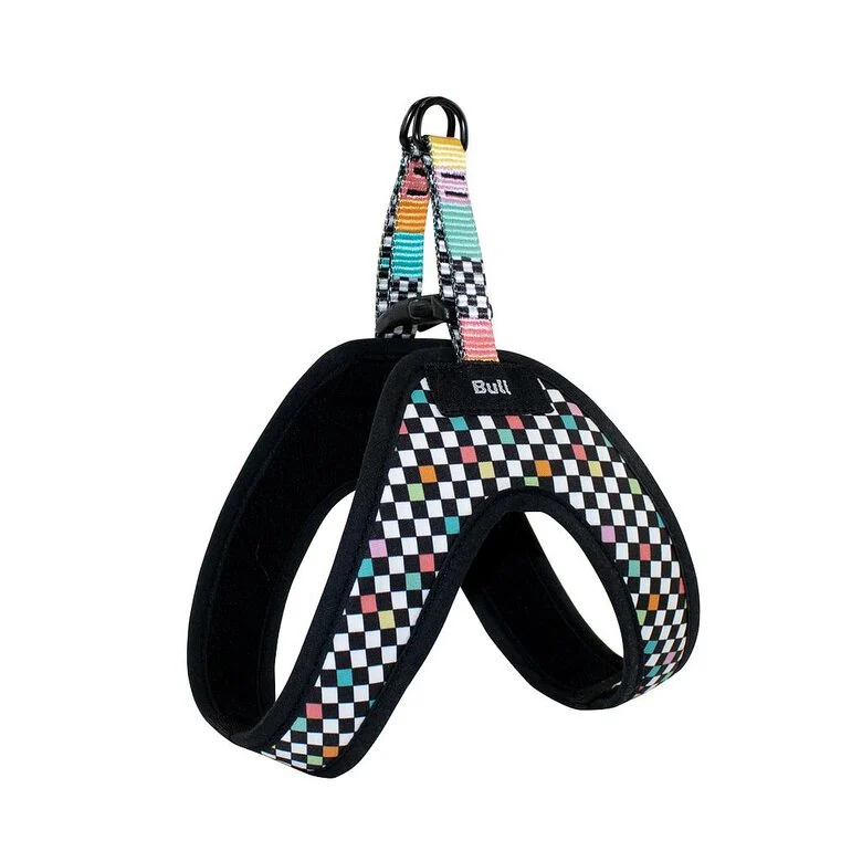 Arnes sport Axel
