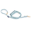 Correa Elysee Azul