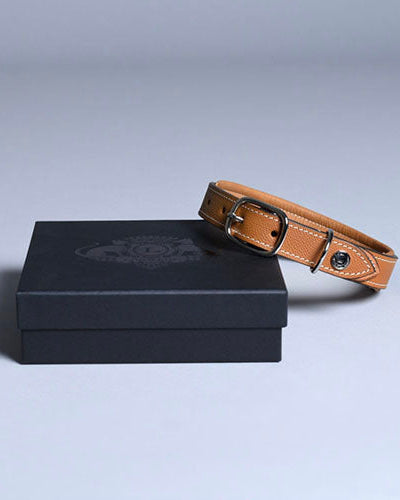Collar para perro Ascot Marrón - Lord Lou XS