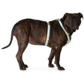 Arnes para perro The Scot