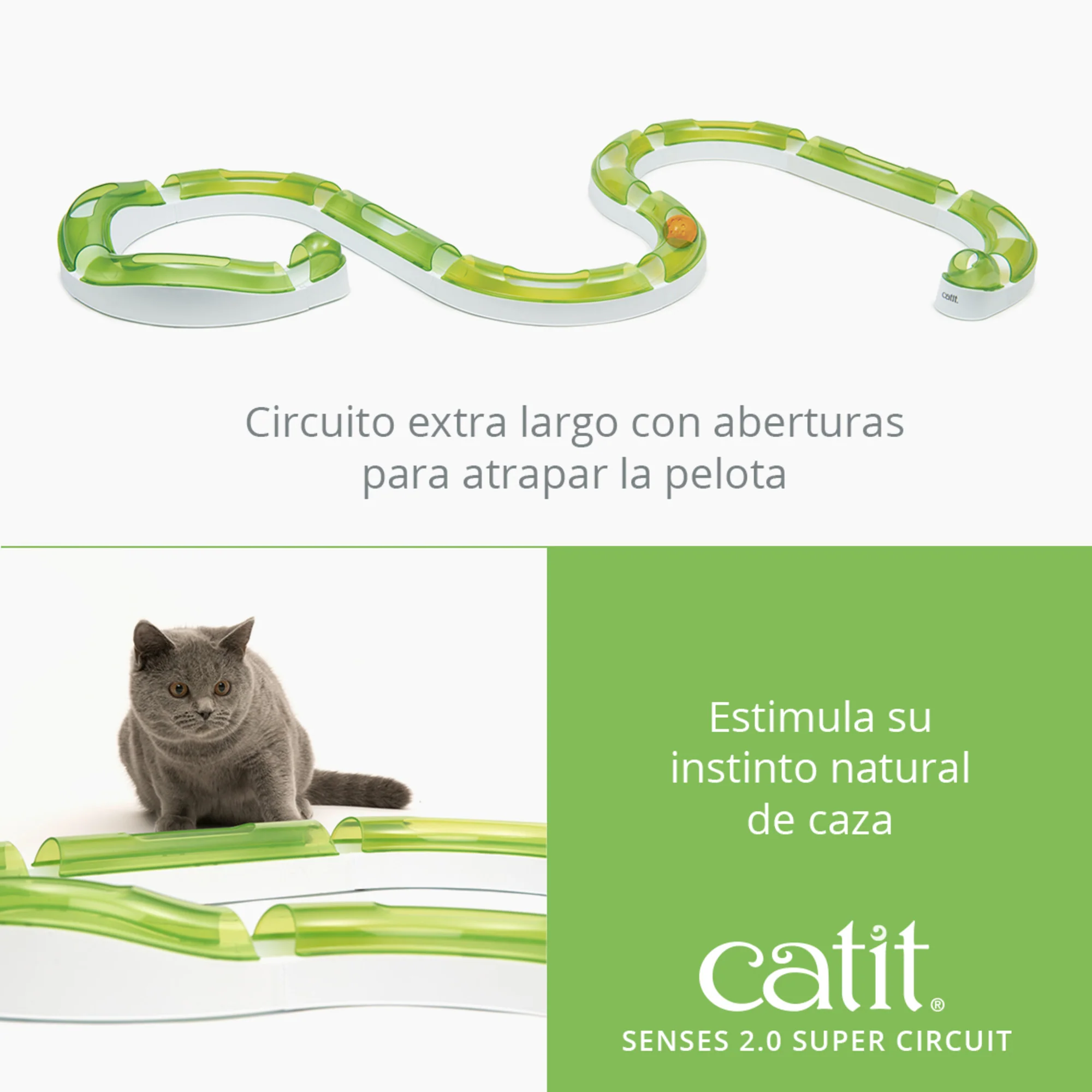 Super Circuit Senses 2.0 CatIT