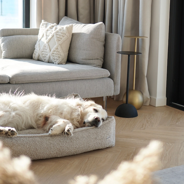 Cama para Perros BUKLAA  LABBVEN- Beige