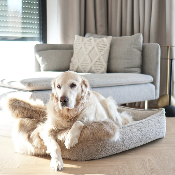 Cama para Perros BUKLAA  LABBVEN- Beige