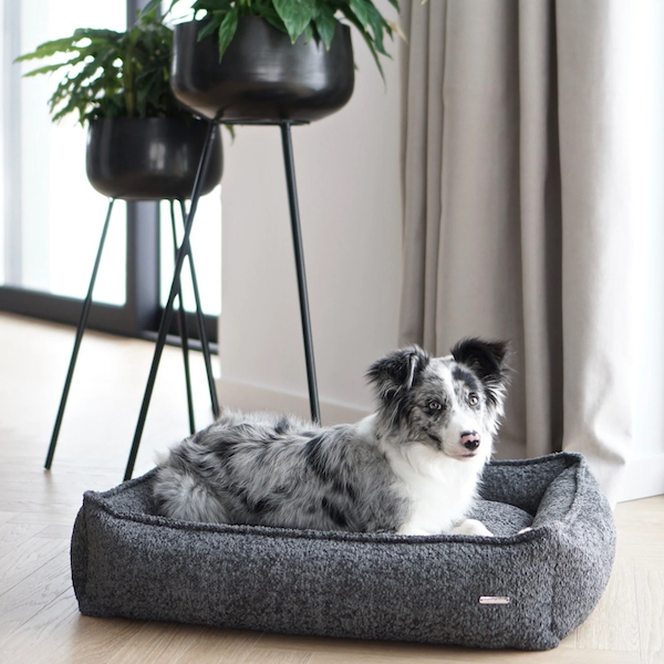 Cama para Perros BUKLAA LABBVEN-Antrancita Antracita