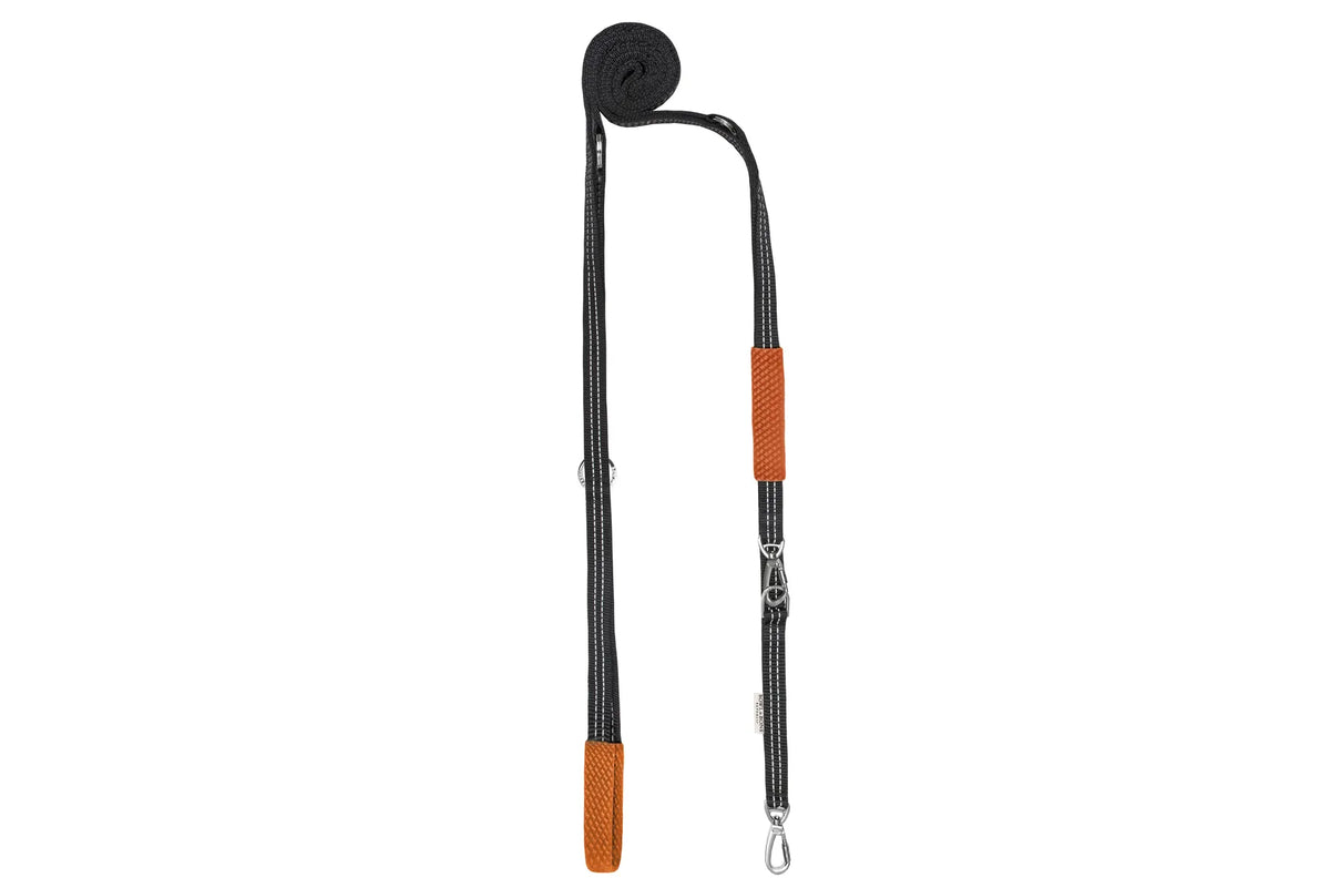 SOHO interchangeable dog leash orange bowl and bone