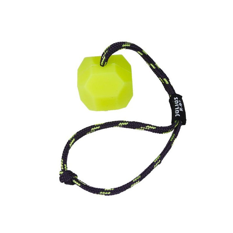 Julius K9 Fluorescent IDC Ball