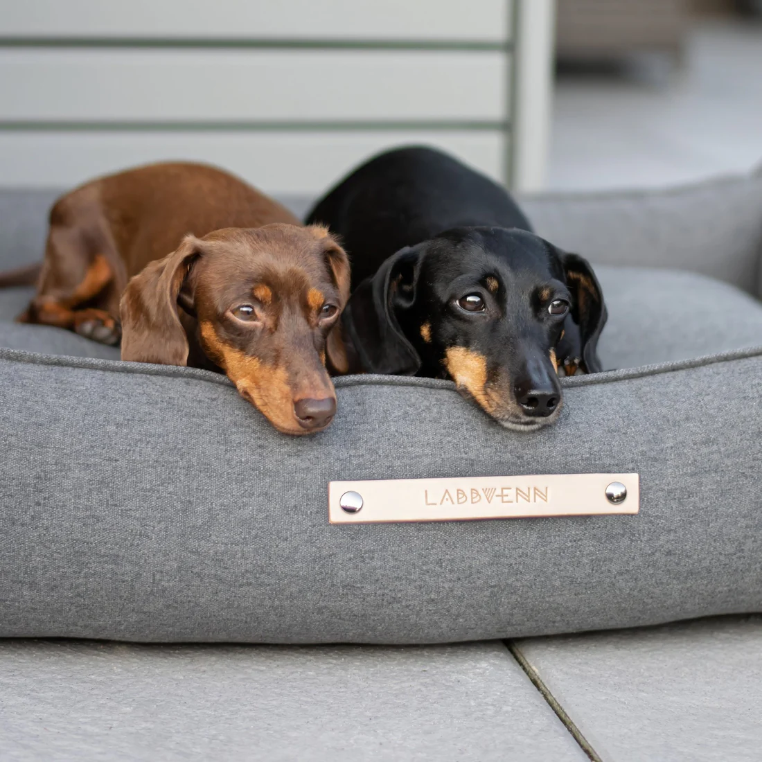Dog Bed MOVIK LABBVEN