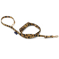 The Panthera Correa Oh Charlie