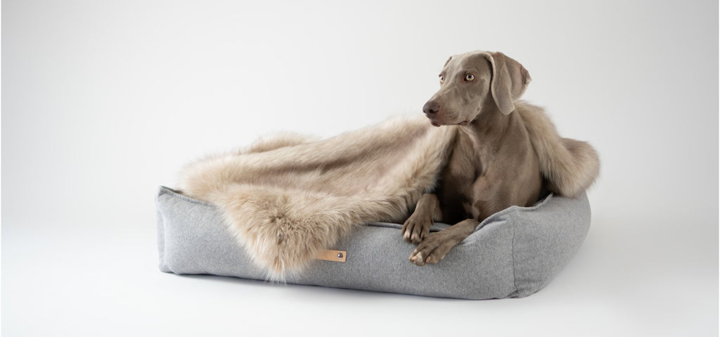 Dog Bed MØVIK LABBVEN