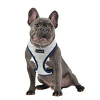 Arnés Mischief A Harness Puppia