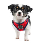 Arnés Mischief Style C Harness Puppia