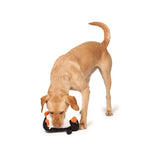 Penelope the Penguin Dog Plush Toy