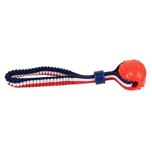 Lanzador elástico con pelota
