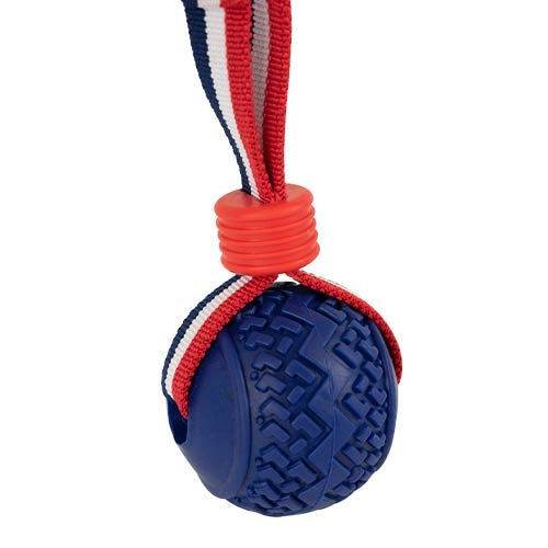 Elastic ball launcher