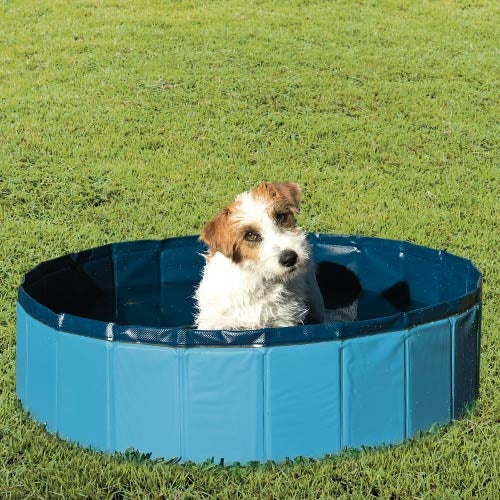 Piscina para Perro Ibáñez