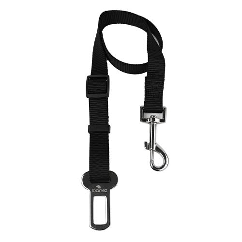Cinturón de Seguridad Setter