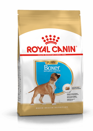 Boxer Junior Royal Canin