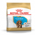 Cocker Junior Royal Canin
