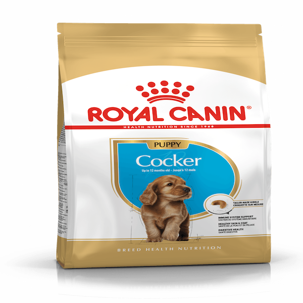 Cocker Junior Royal Canin