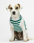Body para Perro Rayas de Algodón Orgánico Daniel - XL