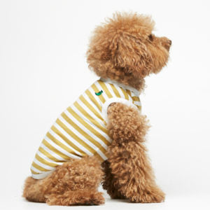 Body para Perro Rayas de Algodón Orgánico Daniel - XL